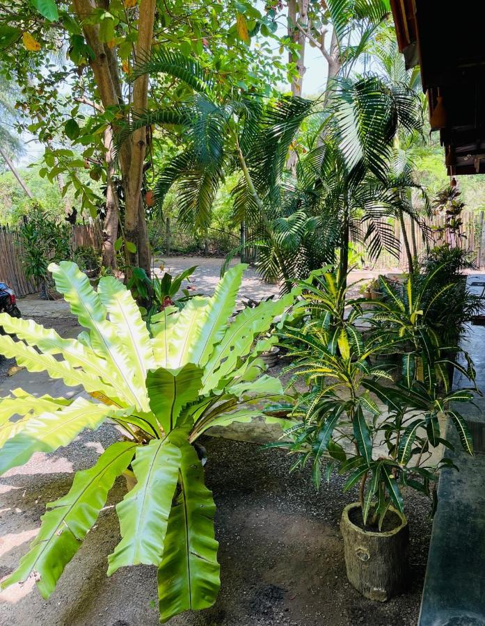 New Roy Guest House Kalkudah  Eksteriør bilde