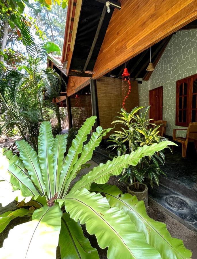 New Roy Guest House Kalkudah  Eksteriør bilde