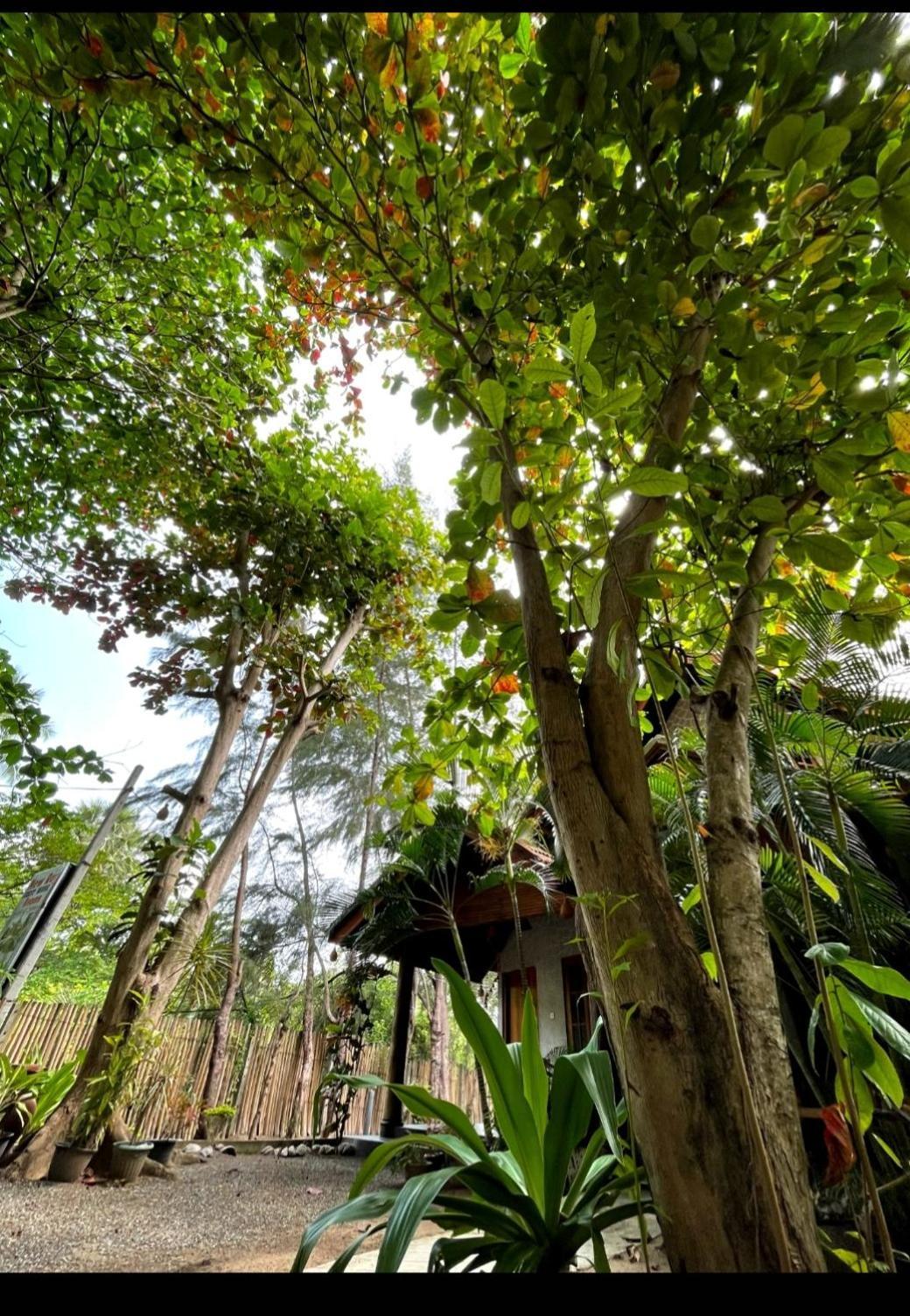 New Roy Guest House Kalkudah  Rom bilde